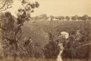 View on the Plenty River, Janefield