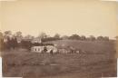 View on the Moorabool River, Batesford