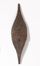 Broad shield