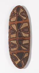 Rainforest shield
