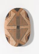 Rainforest shield