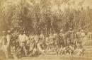 Group of Aborigines in hop gardens, Coranderrk
