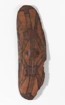 Rainforest shield