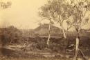 View on the Barwon River, Murgheboluc