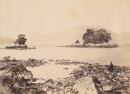 Stewart's Island from Sealers' Cove