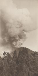 No title (Bushfire)