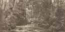 Taggerty River