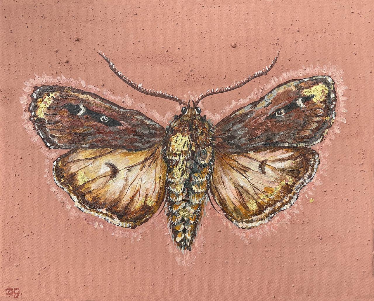 Deanne Gilson, Bogong Moth 2024, 20 x 25cm, ochre, 22 karat gold leaf, acrylic on canvas<br/>