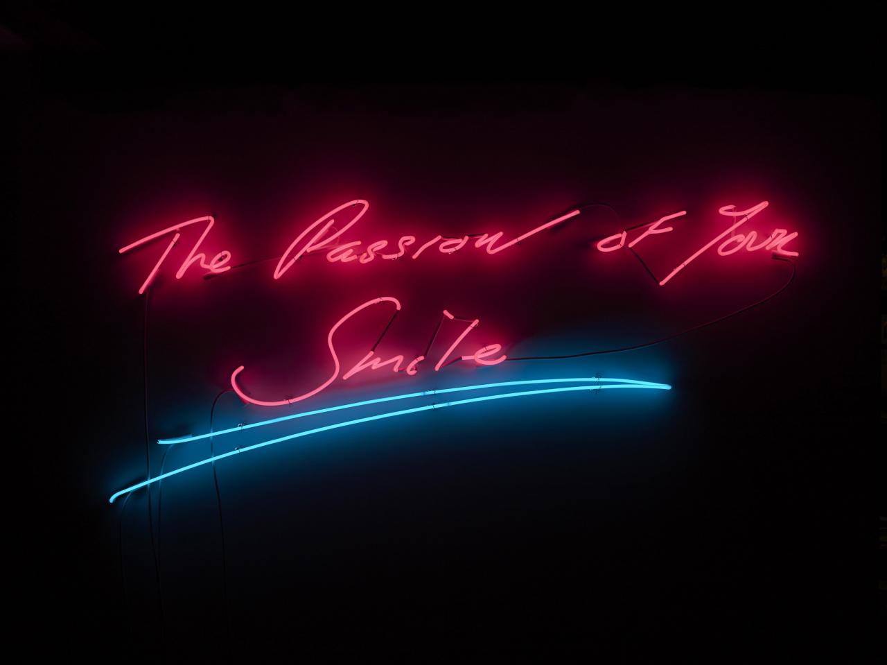 Tracey Emin<br/>
born England 1963<br/>
<em>The passion of your smile</em> 2013<br/>
neon, ed. 1/3<br/>
82.5 x 189.3 x 5.2 cm<br/>
National Gallery of Victoria, Melbourne<br/>
Loti & Victor Smorgon Fund, 2014<br/>
© Tracey Emin courtesy of Lehmann Maupin, New York and Hong Kong