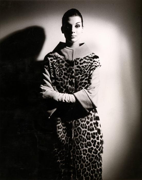 Henry Talbot
No title (Fashion illustration, model Maggie Tabberer wearing ocelot coat) 1961–66