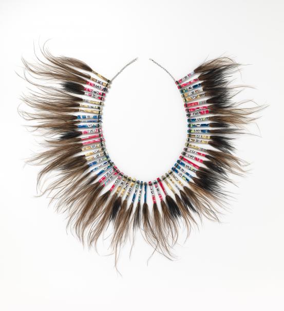 Shirley Daniel<br />
 Theresa Shirley Clermont<br />
 Dadib Elam Ingui<br />
 Bonita Kaida<br/>
<em>Ngalpan Buway lei (Our family lei)</em> 2017 <!-- (front view) --><br />

aluminium, cassowary feathers, seeds, synthetic thread, steel<br />
91.0 x 85.5 x 4.5 cm (variable)<br />
National Gallery of Victoria, Melbourne<br />
Purchased, Victorian Foundation for Living Australian Artists, 2018<br />
2018.27<br />
&copy; Courtesy of the artists
<!--127429-->