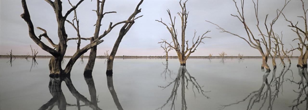 Nici Cumpston<br/>
<em>Nookamka - Lake Bonney</em> 2007 <!-- (recto) --><br />


watercolour and pencil on inkjet print on canvas<br />
74.2 x 203.0 cm<br />


National Gallery of Victoria, Melbourne<br />
Purchased, Victorian Foundation for Living Australian Artists, 2008<br />
2008.7<br />


© Nici Cumpston
<!--86141-->