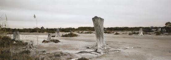 Nici Cumpston<br/>
<em>Tree stumps, western shoreline - Nookamka</em> 2007 <!-- (recto) --><br />

watercolour and pencil on inkjet print on canvas<br />
74.2 x 202.8 cm<br />
National Gallery of Victoria, Melbourne<br />
Purchased, Victorian Foundation for Living Australian Artists, 2008<br />
2008.6<br />
© Nici Cumpston
<!--86142--><br/><a class="col-link block" href="/explore/collection/work/86142"><strong>Collection page <i class="fa fa-angle-right"></i></strong></a>