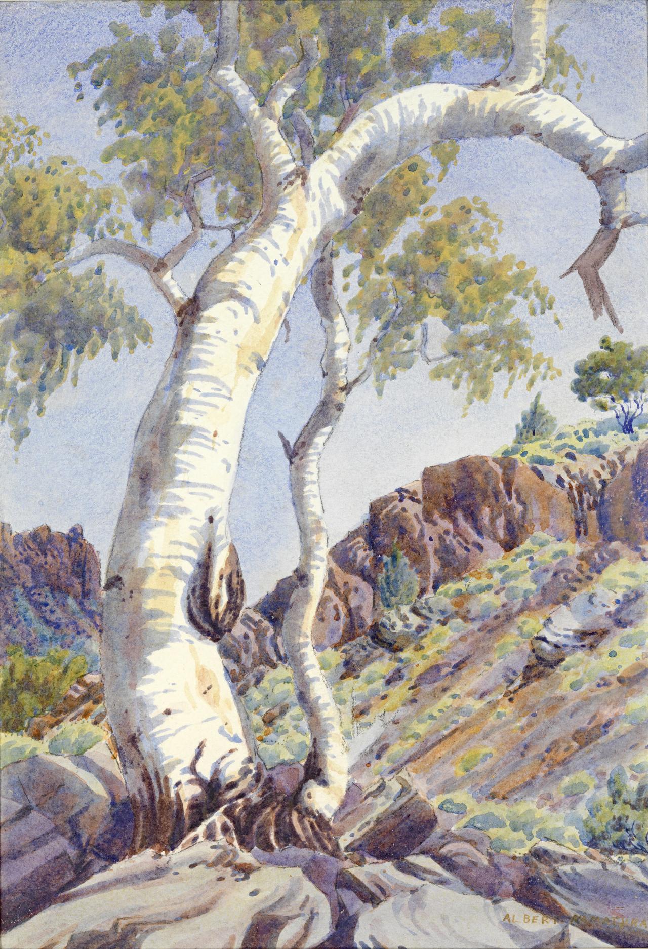 Albert Namatjira<br/>
<em>Ghost Gum, MacDonnell Ranges, Central Australia</em> (c. 1945) <!-- (recto) --><br />

watercolour over pencil<br />
37.0 x 25.3 cm (image) 38.2 x 26.6 cm (sheet)<br />
National Gallery of Victoria, Melbourne<br />
Presented through The Art Foundation of Victoria in memory of Emmanuel and Kamilla Mandl by Mrs Lisl Singer, Member, 1999<br />
1999.196<br />
© Namatjira Legacy Trust/Licensed by Copyright Agency, Australia
<!--66136-->