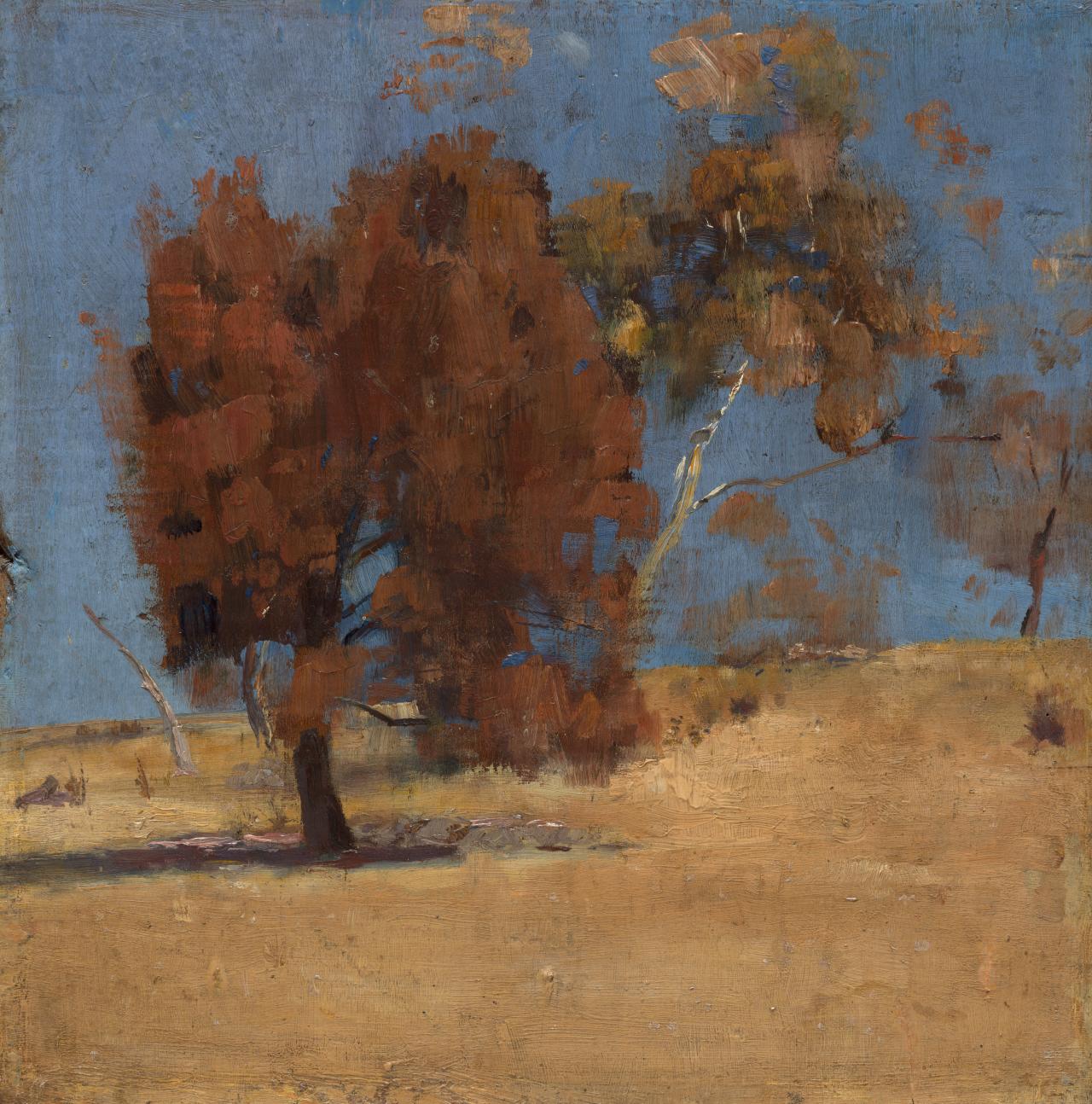 Tom ROBERTS<br/>
<em>She-oak and sunlight</em> (1889) <!-- (recto) --><br />

oil on wood panel<br />
30.4 x 30.1 cm<br />
National Gallery of Victoria, Melbourne<br />
Jean Margaret Williams Bequest, K. M. Christensen and A. E. Bond Bequest, Eleanor M. Borrow Bequest, The Thomas Rubie Purcell and Olive Esma Purcell Trust and Warren Clark Bequest, 2019<br />
2019.1159<br />

<!--81302-->