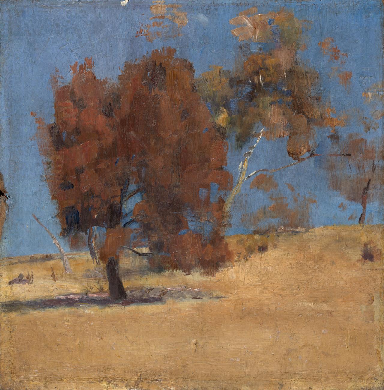 Tom ROBERTS<br/>
<em>She-oak and sunlight</em> (1889) <!-- (recto) --><br />

oil on wood panel<br />
30.4 x 30.1 cm<br />
National Gallery of Victoria, Melbourne<br />
Jean Margaret Williams Bequest, K. M. Christensen and A. E. Bond Bequest, Eleanor M. Borrow Bequest, The Thomas Rubie Purcell and Olive Esma Purcell Trust and Warren Clark Bequest, 2019<br />
2019.1159<br />

<!--81302-->