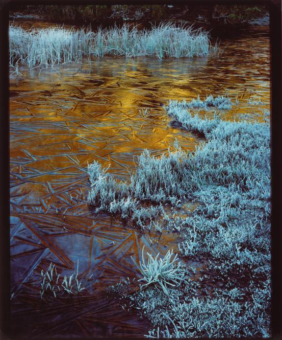 Caption unavailable (7154)
© Peter Dombrovskis
<!--7154--><br/><a class="col-link block" href="/explore/collection/work/7154"><strong>Collection page <i class="fa fa-angle-right"></i></strong></a>