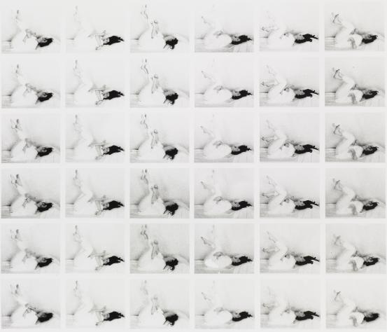 Anne FERRAN<br/>
<em>Untitled</em> (1990) <!-- (recto) --><br />
from the <i>I am the rehearsal master</i> series (1990)<br />
gelatin silver photograph<br />
90.8 x 105.0 cm (image)<br />
National Gallery of Victoria, Melbourne<br />
Purchased, 1991<br />
PH82-1991<br />
© Anne Ferran
<!--12436--><br/><a class="col-link block" href="/explore/collection/work/12436"><strong>Collection page <i class="fa fa-angle-right"></i></strong></a>