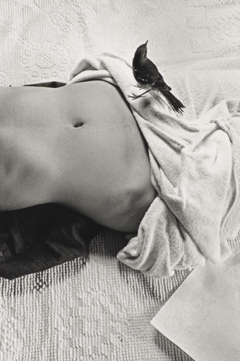 Christine GODDEN<br/>
<em>Untitled</em> 1973; 1976 {printed} <!-- (whole sheet) --><br />

gelatin silver photograph<br />
22.9 x 15.4 cm (image) 25.3 x 19.0 cm (sheet)<br />
National Gallery of Victoria, Melbourne<br />
Purchased from Admission Funds, 1991<br />
PH95-1991<br />
&copy; Christine Godden
<!--12501-->

