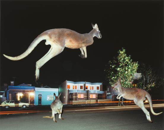 John GOLLINGS<br/>
<em>Kay Street housing &ndash; Peter Corrigan</em> 1982 <!-- (recto) --><br />

inkjet print<br />
84.0 x 110.7 cm<br />
National Gallery of Victoria, Melbourne<br />
Purchased, Victorian Foundation for Living Australian Artists, 2017<br />
2017.413<br />
&copy; John Gollings
<!--130949-->