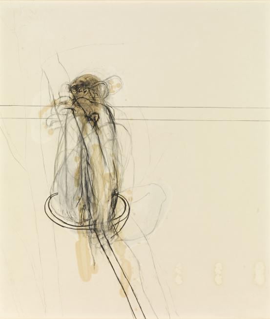 Brett WHITELEY
Drawing of an ape 1965 