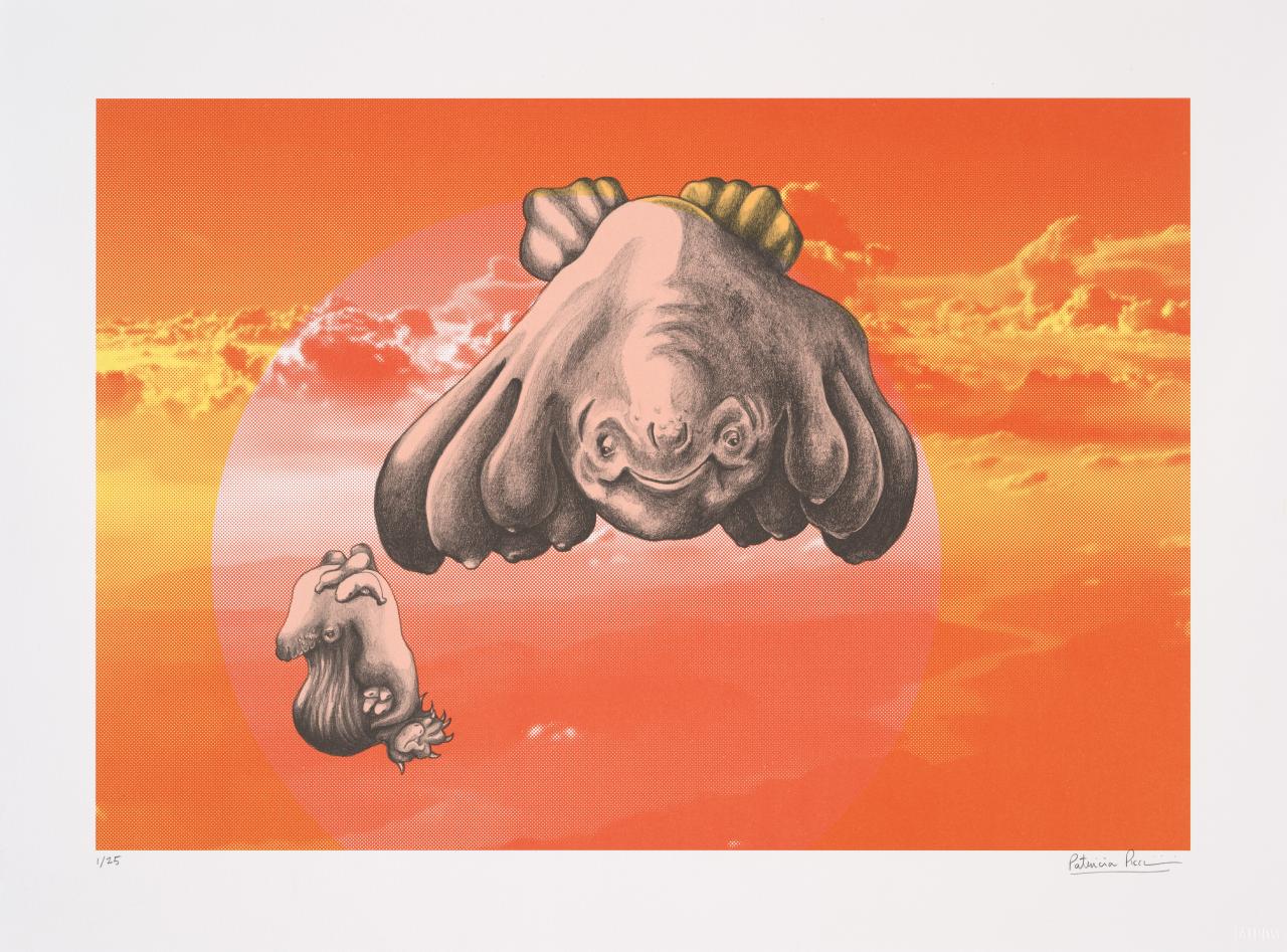 Patricia PICCININI<br/>
<em>Mountains</em> (2019) <!-- (recto) --><br />
from the <i>Skywhale suite</i> 2019<br />
colour lithograph and photo-lithograph<br />
44.0 x 64.0 cm (image) 56.7 x 75.8 cm (sheet)<br />
ed. 1/25<br />
National Gallery of Victoria, Melbourne<br />
Co-commissioned by the National Gallery of Victoria and the Australian Print Workshop. Victorian Foundation for Living Australian Artists, 2021<br />
2020.628.6<br />
© Patricia Piccinini
<!--144977-->