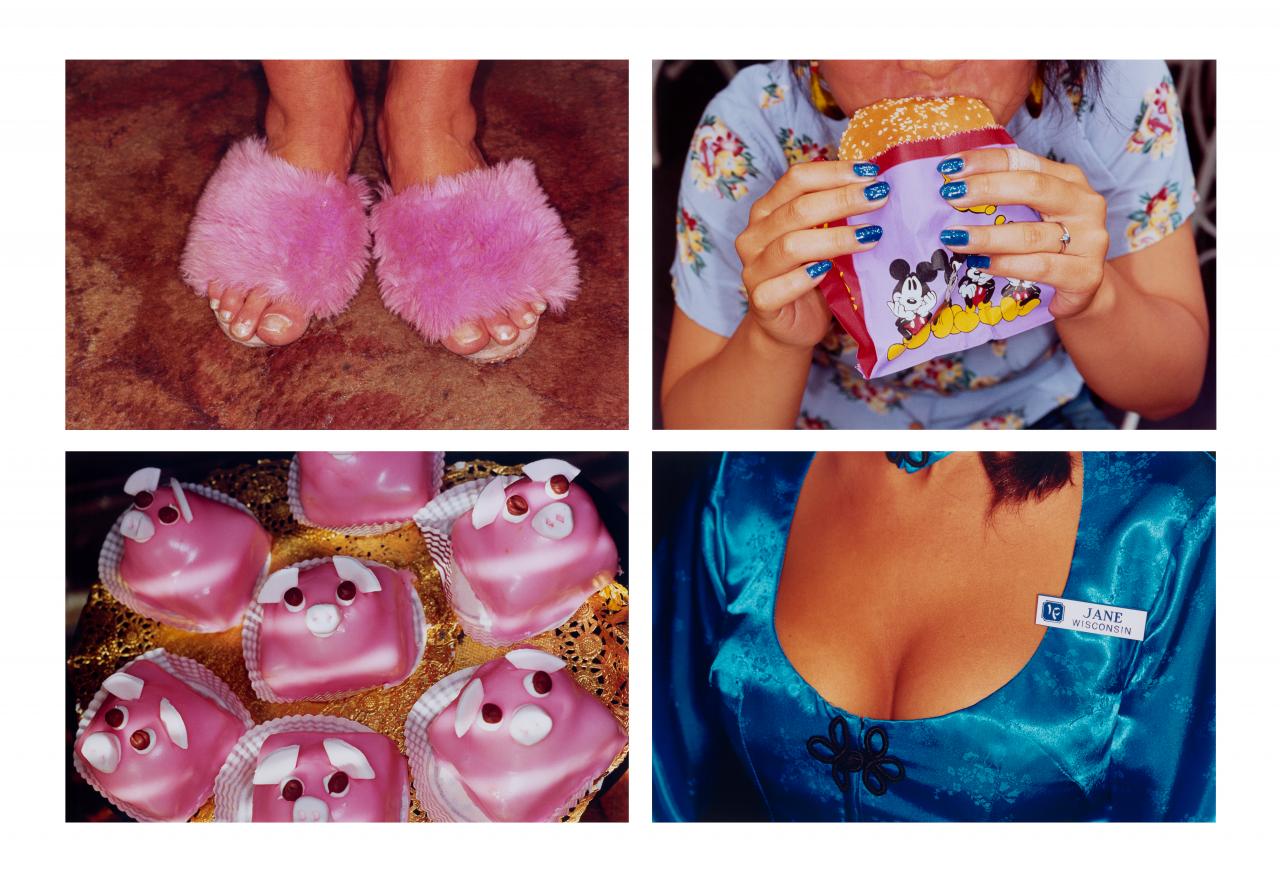 (clockwise from top left)<br/>
Martin Parr<br/>
English born 1952<br/>
<em>Common sense 7</em> 1995, printed 1999<br/>
<em>Common sense 76</em> 1995, printed 1999<br/>
<em>Common sense 67</em> 1995, printed 1999<br/>
<em>Common sense 27</em> 1995, printed 1999<br/>
from the <em>Common sense</em> series 1995-99<br/>
type C photograph<br/>
104.3 x 156.6 cm (image and sheet) (each)<br/>
National Gallery of Victoria, Melbourne<br/>
Purchased, 2005 (2005.511, 2005.514, 2005.513, 2005.512)<br/>