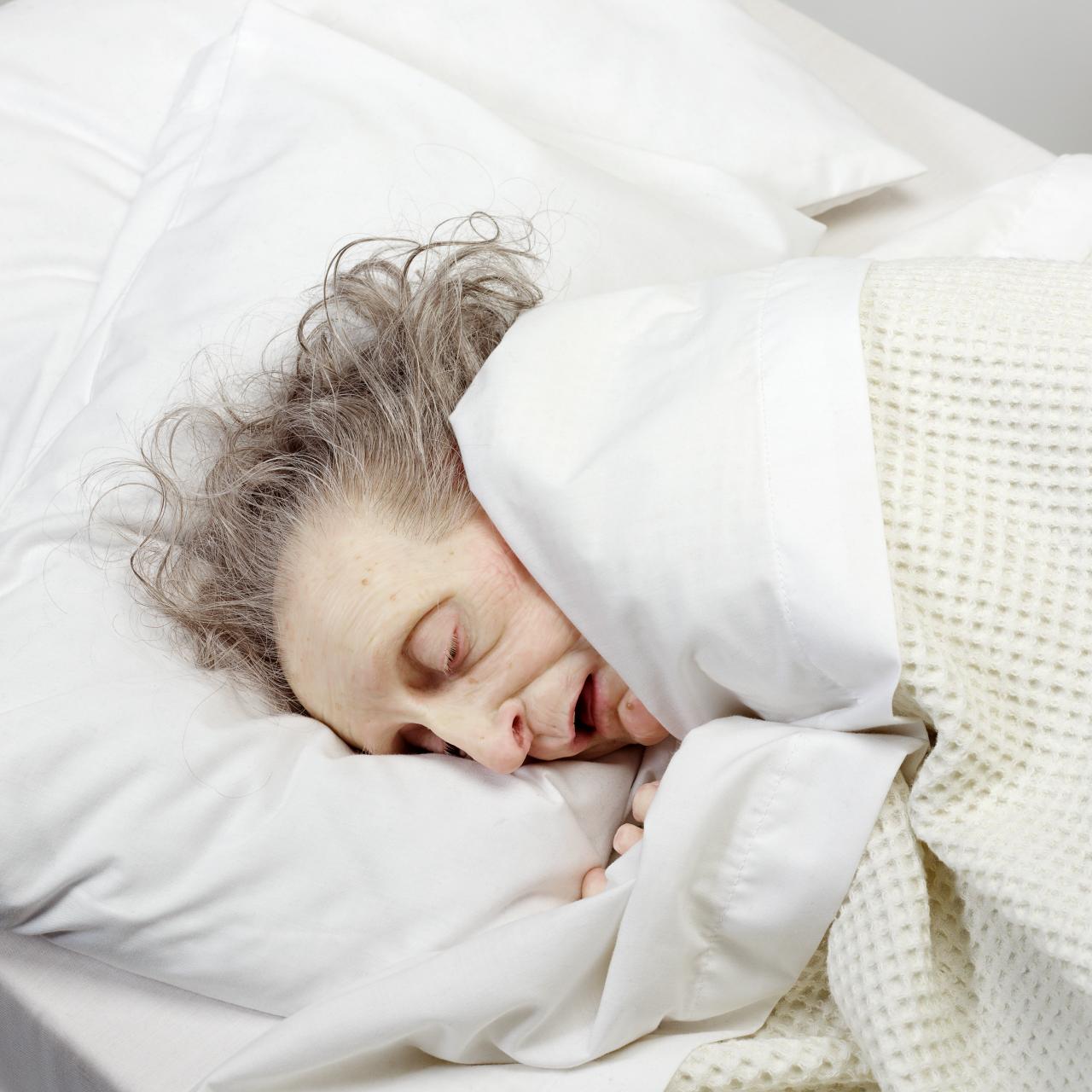 Ron Mueck<br/>
Born Australia 1958 -<br/>
<em>Old woman in bed</em> 2002<br/>
polyester resin, fibreglass, silicone, polyurethane, synthetic hair, cotton, polyester, second edition, artist's proof<br/>
25.4 x 94.0 x 53.9 cm<br/>
Art Gallery of New South Wales, Sydney<br/>
Purchased, 2003<br/>
© Ron Mueck courtesy Anthony d'Offay, London