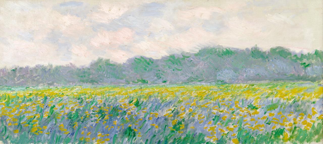 Claude Monet<br/>
<em>Field of yellow irises at Giverny (Champ d’iris jaunes à Giverny)</em> 1887<br/>
oil on canvas<br/>
45.0 x 100.0 cm<br/>
Musée Marmottan Monet, Paris<br/>
Gift of Michel Monet, 1966 (inv. 5172)<br/>
© Musée Marmottan Monet, Paris, © Bridgeman-Giraudon / Presse