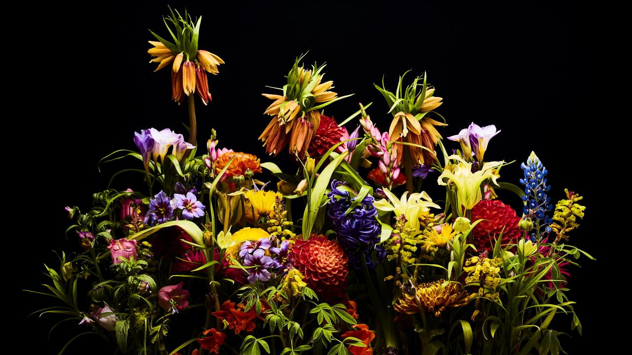 Flower market Tokyo, Pressed flowers, Dried flowers, Botanical