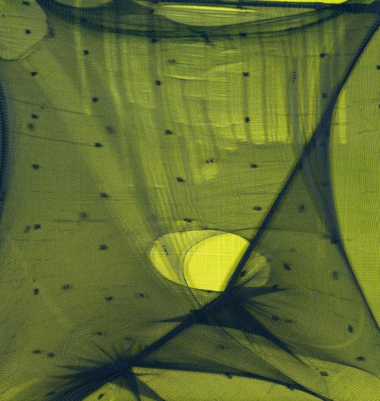 Vera MÖLLER<br/>
<em>Joconde III</em> 1996 <!-- (recto) --><br />

nylon stocking, oil on composition board<br />
23.1 x 21.8 cm<br />
National Gallery of Victoria, Melbourne<br />
Margaret Stewart Endowment, 1996<br />
DC20-1996<br />
© Vera Möller/Licensed by Copyright Agency, Australia
<!--58974--><br/><a class="col-link block" href="/explore/collection/work/58974"><strong>Collection page <i class="fa fa-angle-right"></i></strong></a>