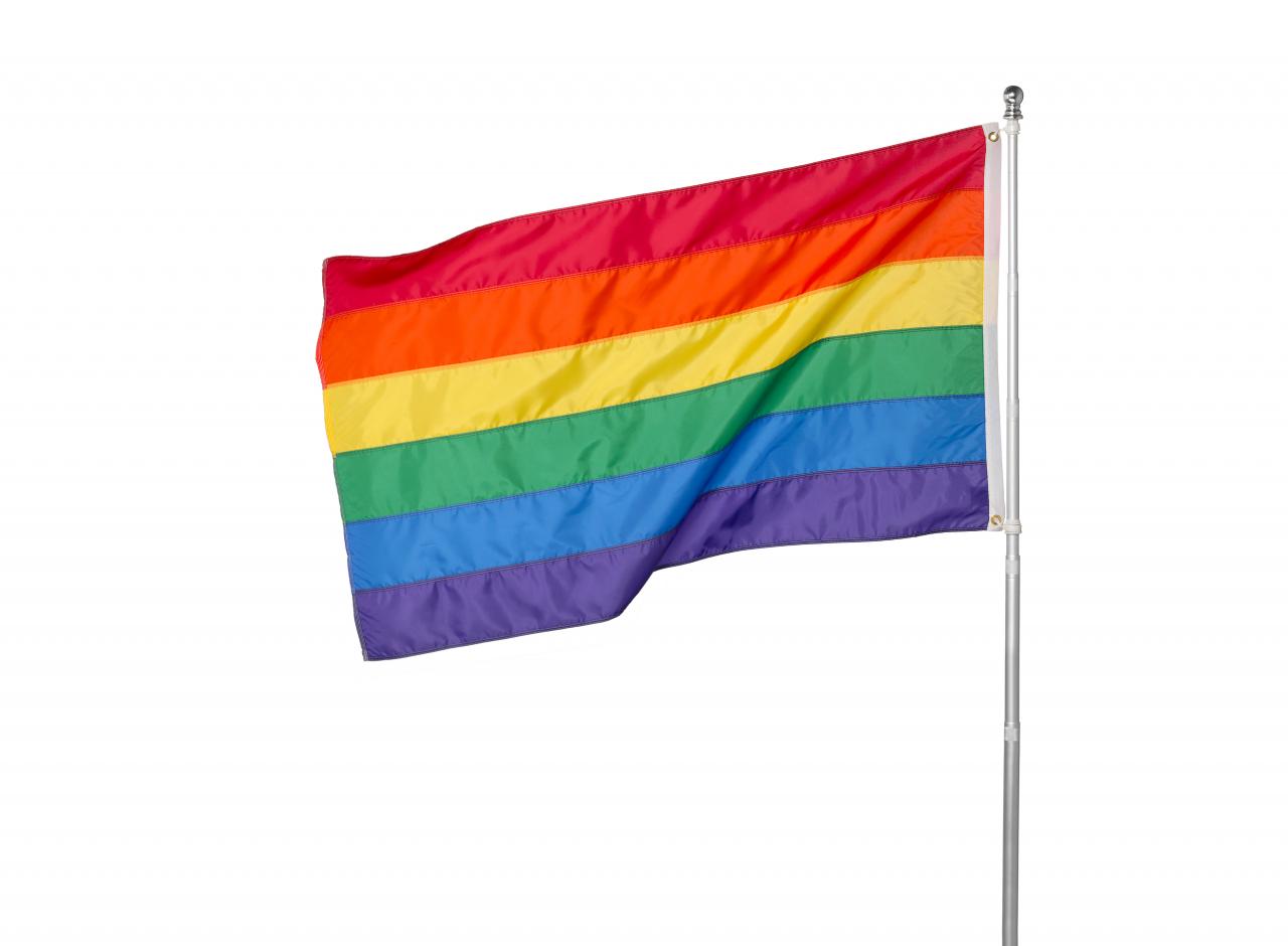 Gilbert BAKER<br/>
<em>Rainbow flag</em> 1978 {designed}; 2018 {manufactured} <!-- (recto) --><br />

nylon flag with poles<br />
91.4 x 152.4 cm<br />
National Gallery of Victoria, Melbourne<br />
Purchased NGV Foundation, 2018<br />
2018.1351<br />
© The Gilbert Baker Estate
<!--135958-->