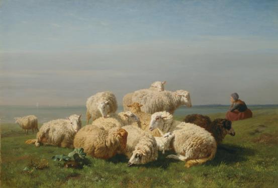Edmond TSCHAGGENY<br/>
<em>Sheep in repose</em> 1864 <!-- (recto) --><br />

oil on canvas<br />
75.0 x 110.0 cm<br />
National Gallery of Victoria, Melbourne<br />
Purchased by the Commissioners of Fine Arts for Victoria, 1864<br />
p.301.6-1<br />

<!--4420-->