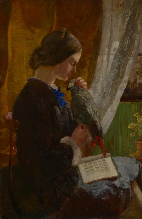 Walter Howell DEVERELL<br/>
<em>The grey parrot</em> (c. 1852-1853) <!-- (recto) --><br />

oil on canvas<br />
53.5 x 35.2 cm<br />
National Gallery of Victoria, Melbourne<br />
Felton Bequest, 1913<br />
569-2<br />

<!--3913-->