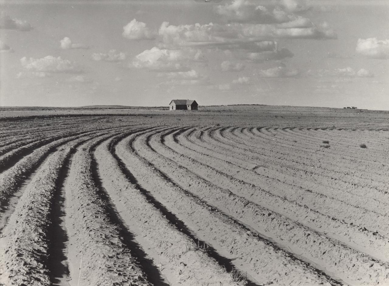 Dorothea LANGE<br/>
<em>Texas Panhandle: Power farming displaces tenants in cotton areas</em> (1938); (c. 1975) {printed} <!-- (recto) --><br />

gelatin silver photograph<br />
36.3 x 49.4 cm (image) 40.6 x 50.5 cm (sheet)<br />
National Gallery of Victoria, Melbourne<br />
Purchased, 1975<br />
PH97-1975<br />

<!--8161-->