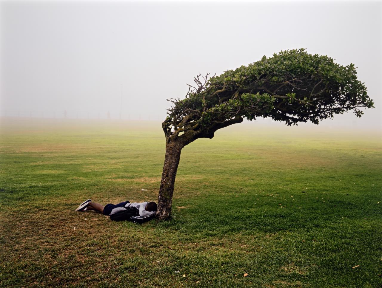 Pieter HUGO<br/>
<em>Green Point Common, Cape Town</em> 2013 <!-- (recto) --><br />
from the <i>Kin</i> series<br />
digital type C print<br />
105.0 x 139.0 cm<br />
National Gallery of Victoria, Melbourne<br />
Bowness Family Fund for Contemporary Photography, 2014<br />
2014.36<br />
© Pieter Hugo, courtesy of the artist and Yossi Milo, New York
<!--111197-->