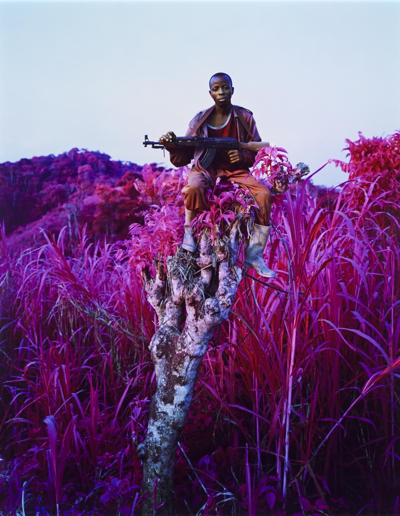 Richard MOSSE<br/>
<em>Higher ground</em> 2012 <!-- (recto) --><br />

type C photograph<br />
227.0 x 185.0 cm (image and sheet)<br />
National Gallery of Victoria, Melbourne<br />
Purchased NGV Foundation, 2014<br />
2014.358<br />
© Richard Mosse. Courtesy of the artist and Jack Shainman Gallery, New York
<!--113710-->