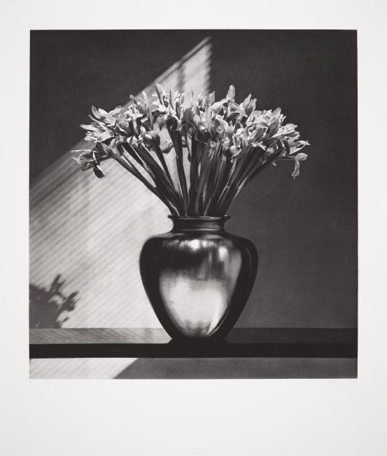 Robert MAPPLETHORPE<br/>
<em>Irises</em> 1987 <!-- (recto) --><br />

photogravure<br />
87.0 x 81.9 cm (image) 114.0 x 97.3 cm (sheet)<br />
artist's proof<br />
National Gallery of Victoria, Melbourne<br />
Gift of Krystyna Campbell-Pretty AM and Family through the Australian Government's Cultural Gifts Program, 2025<br />
2025.522<br />
&copy; Robert Mapplethorpe Foundation. Used by permission
<!--156067-->