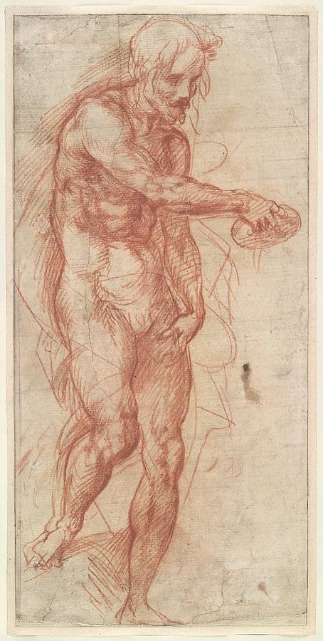 Andrea del SARTO<br/>
<em>Study for St John the Baptist</em> (c. 1517) <!-- (recto) --><br />

red chalk<br />
38.5 x 18.8 cm irreg. (sheet)<br />
National Gallery of Victoria, Melbourne<br />
Felton Bequest, 1936<br />
351-4<br />

<!--38858-->