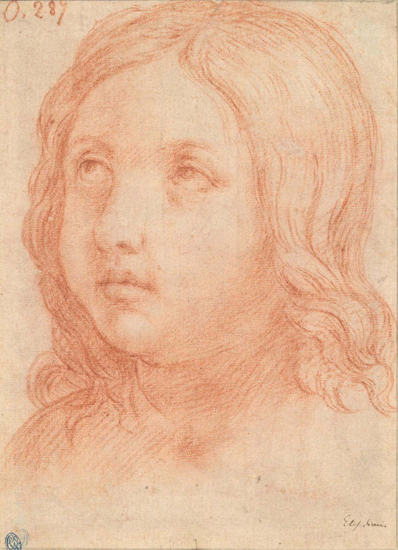 Elisabetta SIRANI<br/>
<em>Head of a child</em> (1653-1663) <!-- (recto) --><br />

red chalk<br />
22.5 x 16.4 cm (sheet)<br />
National Gallery of Victoria, Melbourne<br />
Gift of Krystyna Campbell-Pretty AM and Family through the Australian Government’s Cultural Gift Program, 2023<br />
2023.317<br />

<!--150333-->