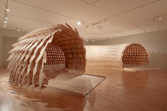 KENGO KUMA AND ASSOCIATES, Tokyo and Paris (architecture studio)<br />
 Kengo KUMA (designer)<br />
 Geoff NEES<br/>
<em>Botanical pavilion</em> (2020) <!-- () --><br />

plywood, steel, Algerian Oak (Quercus canariensis), Australian Red Cedar (Toona ciliate), Banksia (Banksia sp.), Camphor Laurel (Cinnamomum camphora), Cigar-box Cedar (Cedrela odorata), Crows Foot Elm (Argyrodendron trifoliolatum), English Elm (Ulmus minor), Graveyard Cypress (Cupressus sempervirens), Hoop Pine (Araucaria cunninghamii), Lombardy Poplar (Populus nigra &lsquo;Italica&rsquo;), Long Leaf Pine (Pinus palustris), Melaleuca, Monterey Cypress (Cupressus macrocarpa), Osage Orange (Maclura pomifera), Red Ironbark (Eucalyptus sideroxylon), Tulip Tree (Liriodendron tulipifera), Silky Oak (Grevillea Robusta), Yellow Stringybark (Eucalyptus muelleriana)<br />
290.5 x 1378.6 x 970.0 cm<br />
National Gallery of Victoria, Melbourne<br />
Commissioned by the National Gallery of Victoria, Melbourne Purchased with funds donated by Connie Kimberley and Craig Kimberley OAM, 2021<br />
2020.763<br />
&copy; Kengo Kuma and Geoff Nees. Photo: Tom Ross
<!--145045-->