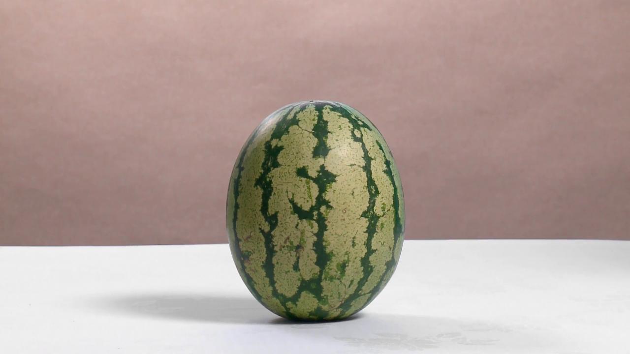 Steve CARR<br/>
<em>Watermelon</em> 2015 <!-- () --><br />

colour high definition video, sound<br />
33 min 10 sec<br />
ed. 1/5<br />
National Gallery of Victoria, Melbourne<br />
Ruth Margaret Frances Houghton Bequest, 2016<br />
2016.87<br />
© Courtesy of the Artist and Station Gallery, Melbourne
<!--120765-->