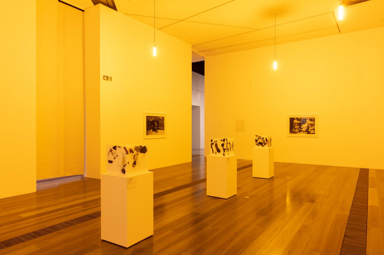 Installation view of Colour Blinded in the NGV DESTINY exhibition, 2020<br/>