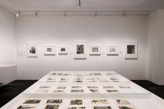 Installation view of <em>Women Photographers 1900&ndash;1975: A Legacy of Light</em> on display from 28 November 2025 to 3 May 2026, at NGV International, Melbourne<br/>