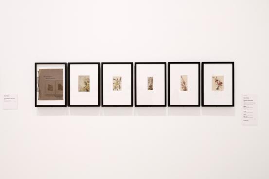 Installation view of <em>Women Photographers 1900&ndash;1975: A Legacy of Light</em> on display from 28 November 2025 to 3 May 2026, at NGV International, Melbourne<br/>