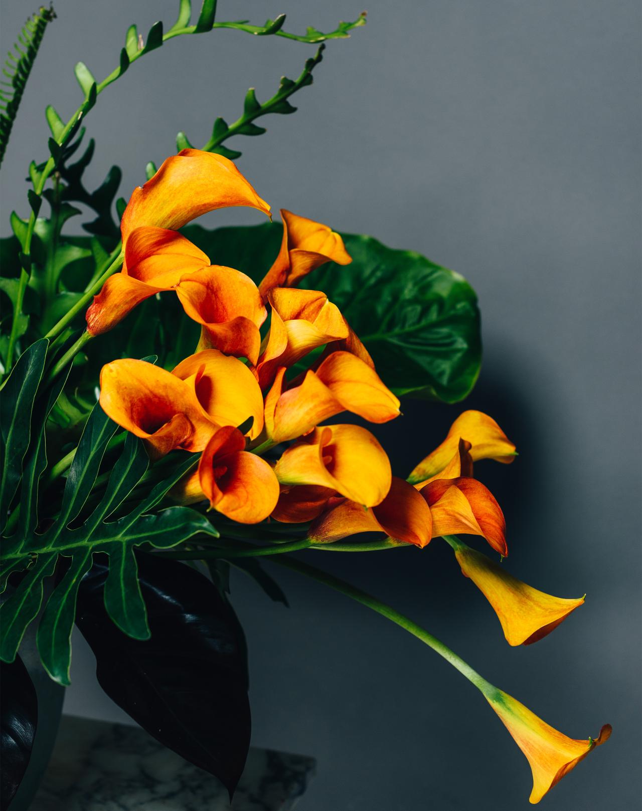Image courtesy of Flowers Vasette<br/>