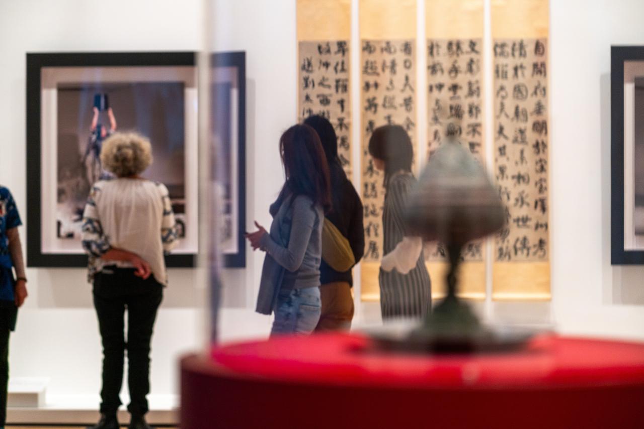 <br/>
msphotographics.com.au