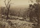 Scene near Dandenong: Moon's Range