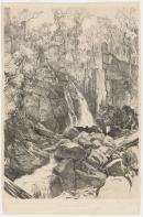The Wellington falls, Hobart town