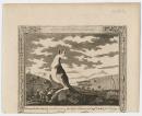A remarkable animal found on one of the Hope Islands in Captain Cook’s first voyage